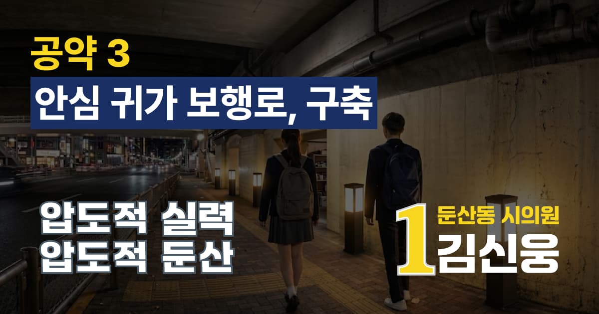 안심 귀가 보행로, 구축